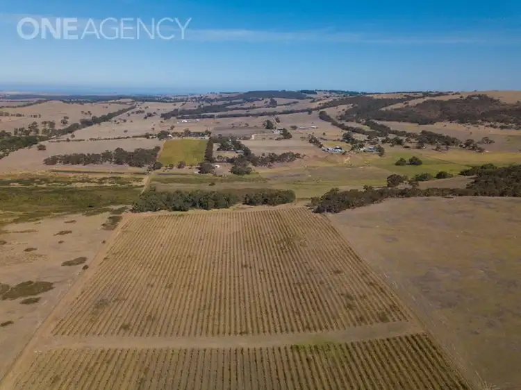Seventh view of Homely rural property listing, 963 Cleland Gully Road, Tooperang SA 5255