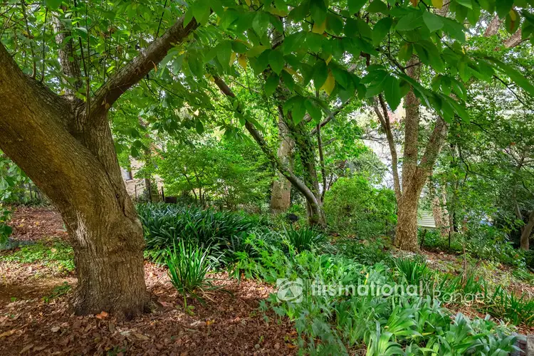 Sixth view of Homely house listing, 10 Hunter Street, Monbulk VIC 3793