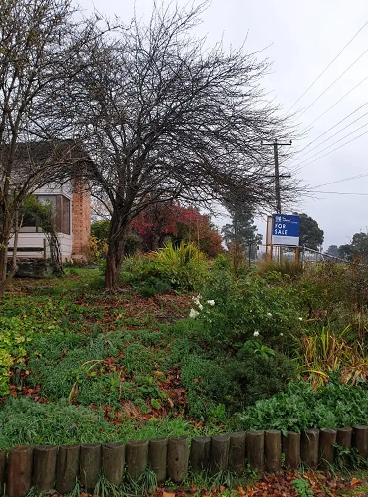 Main view of Homely house listing, 15 Union Bridge Road, Mole Creek TAS 7304