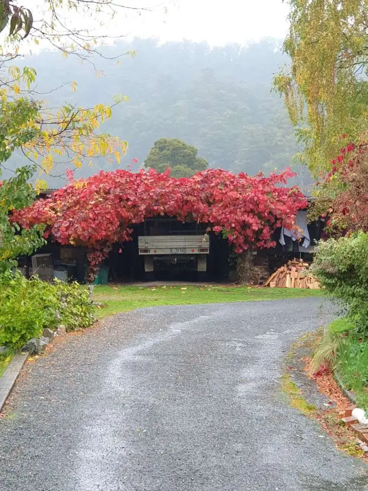 Sixth view of Homely house listing, 15 Union Bridge Road, Mole Creek TAS 7304