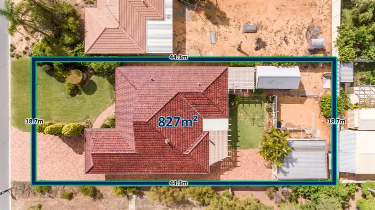 Third view of Homely house listing, 37 Eldora Crescent, Falcon WA 6210