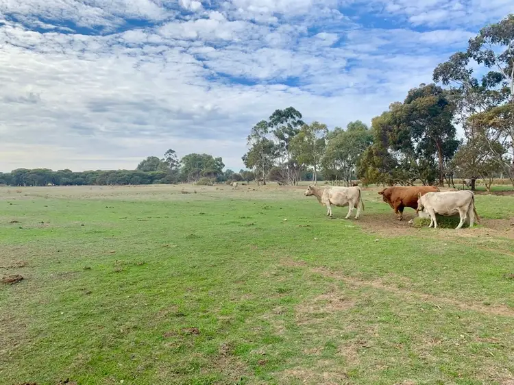 Fifth view of Homely rural property listing, 794 Sutters Lane, West Pinjarra WA 6208