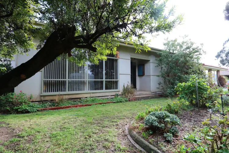 Main view of Homely house listing, 113 Park Road, Maryborough VIC 3465