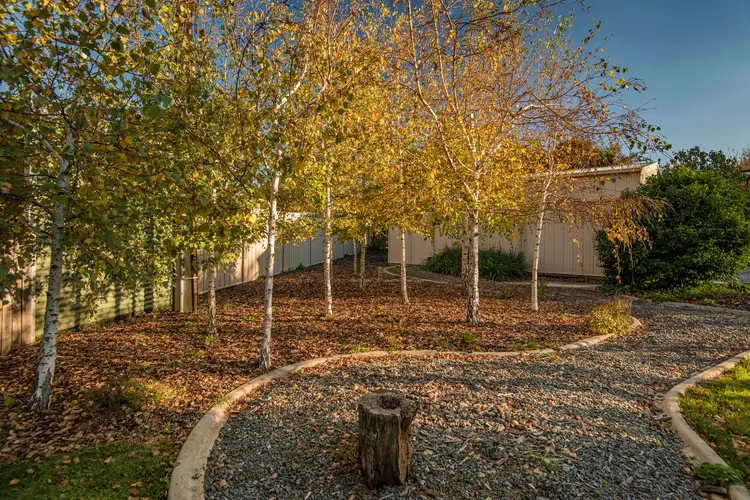 Third view of Homely house listing, 23 Vaughan Gardens, Narrabundah ACT 2604