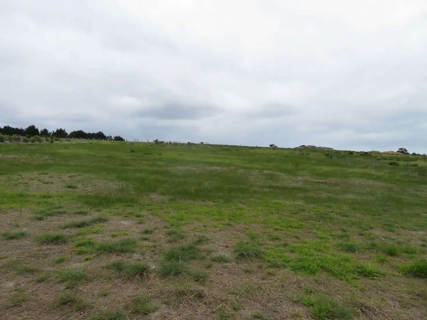 Main view of Homely land listing, 28 Triggerplant Loop, Hay WA 6333