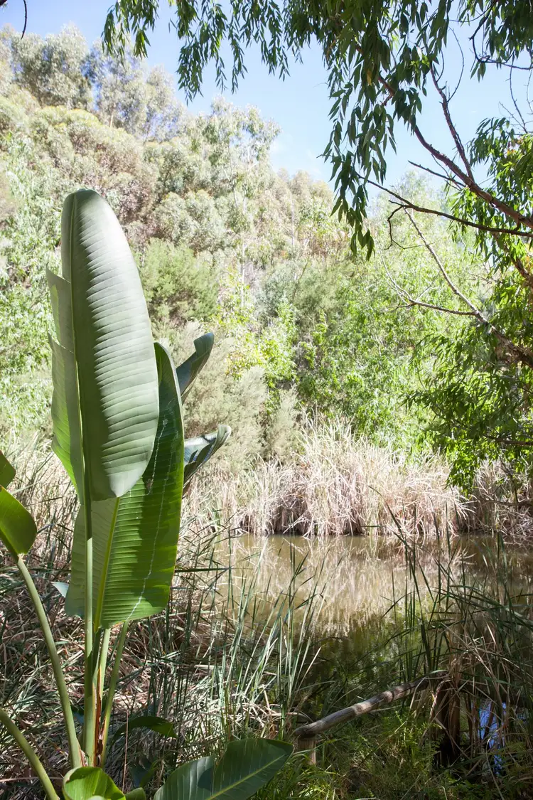 Seventh view of Homely land listing, Lot 591 Longbottom Road, Willunga South SA 5172