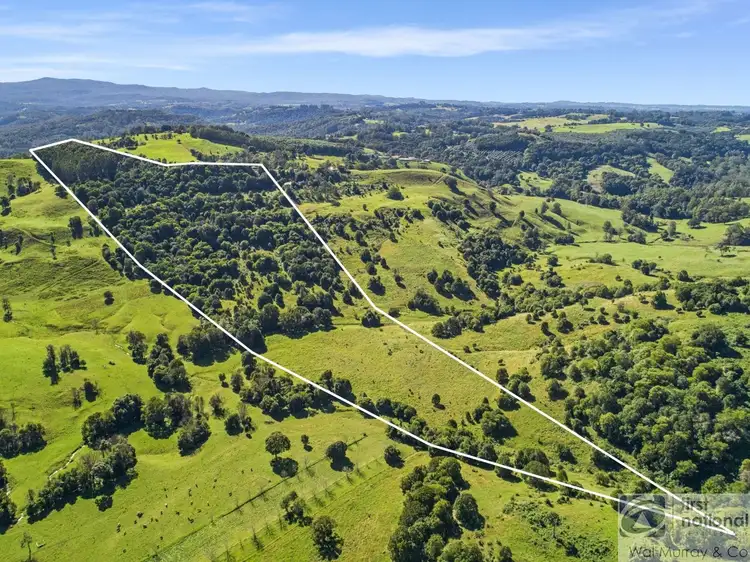 139 Currie Road, The Channon NSW 2480