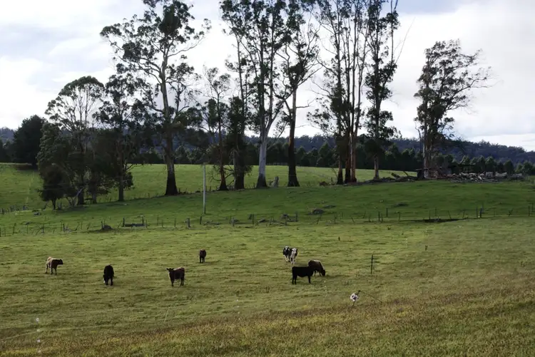 Fifth view of Homely house listing, 5284 Bass Highway., Deloraine TAS 7304