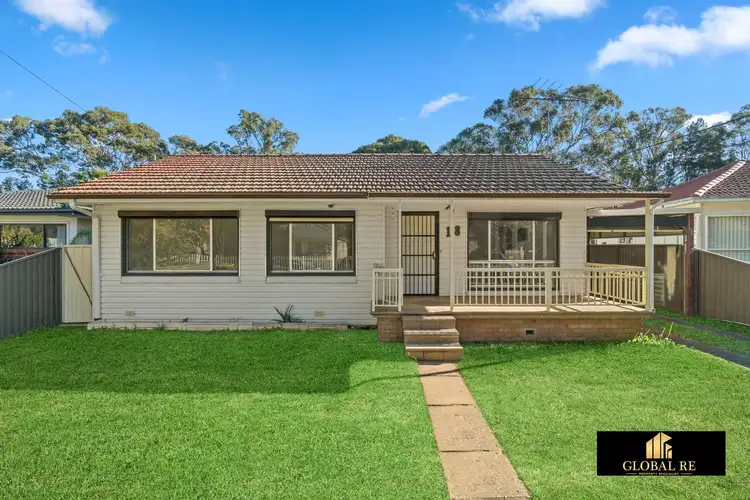 18 Vincent Crescent, Canley Vale NSW 2166