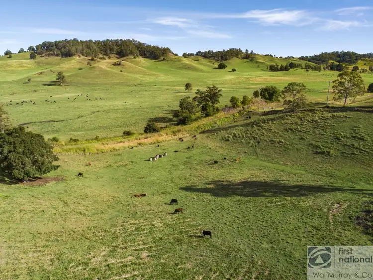 Fifth view of Homely rural property listing, 65 Brazils Road, Bentley NSW 2480