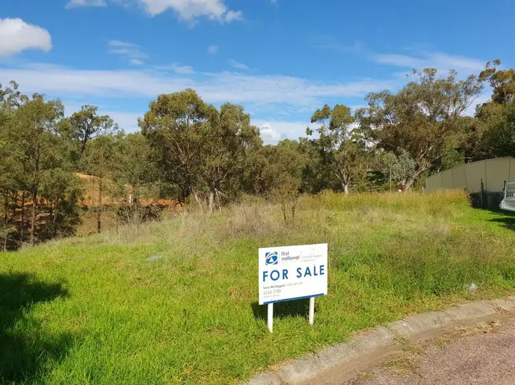 25 Northerly Close, Muswellbrook NSW 2333