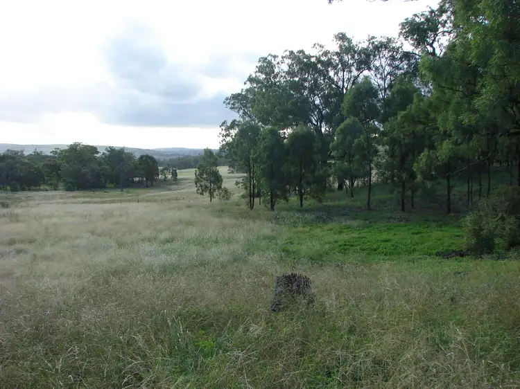 Main view of Homely rural property listing, Lot 102 Skellatar Stock Route, Muswellbrook NSW 2333