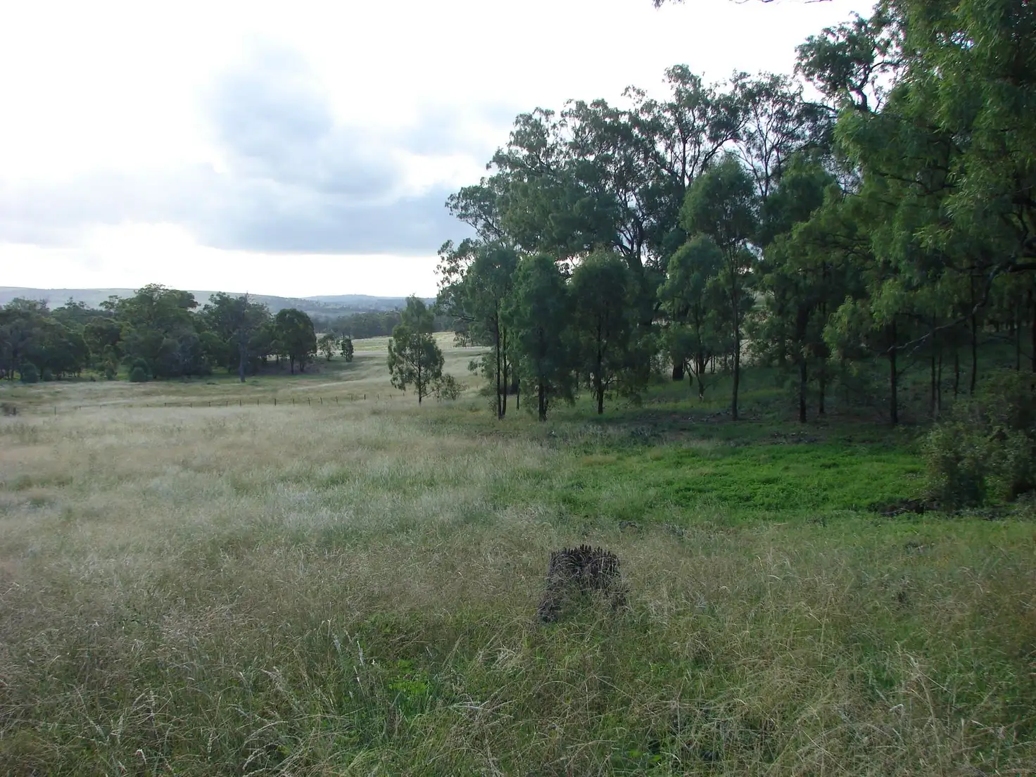 Main view of Homely rural property listing, Lot 102 Skellatar Stock Route, Muswellbrook NSW 2333
