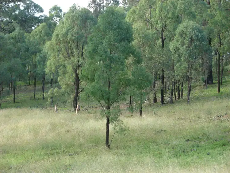 Fifth view of Homely rural property listing, Lot 102 Skellatar Stock Route, Muswellbrook NSW 2333