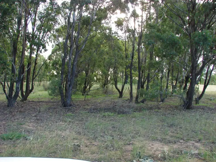 Seventh view of Homely rural property listing, Lot 102 Skellatar Stock Route, Muswellbrook NSW 2333
