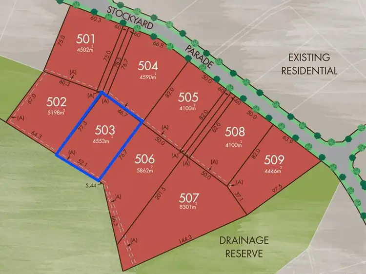 Lot 503 Stockyard Parade, Muswellbrook NSW 2333