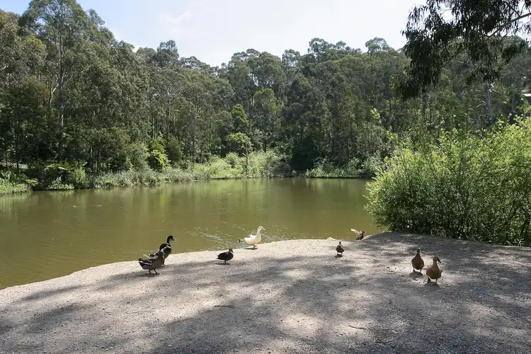 Sixth view of Homely land listing, 1 Belgrave Avenue, Belgrave VIC 3160