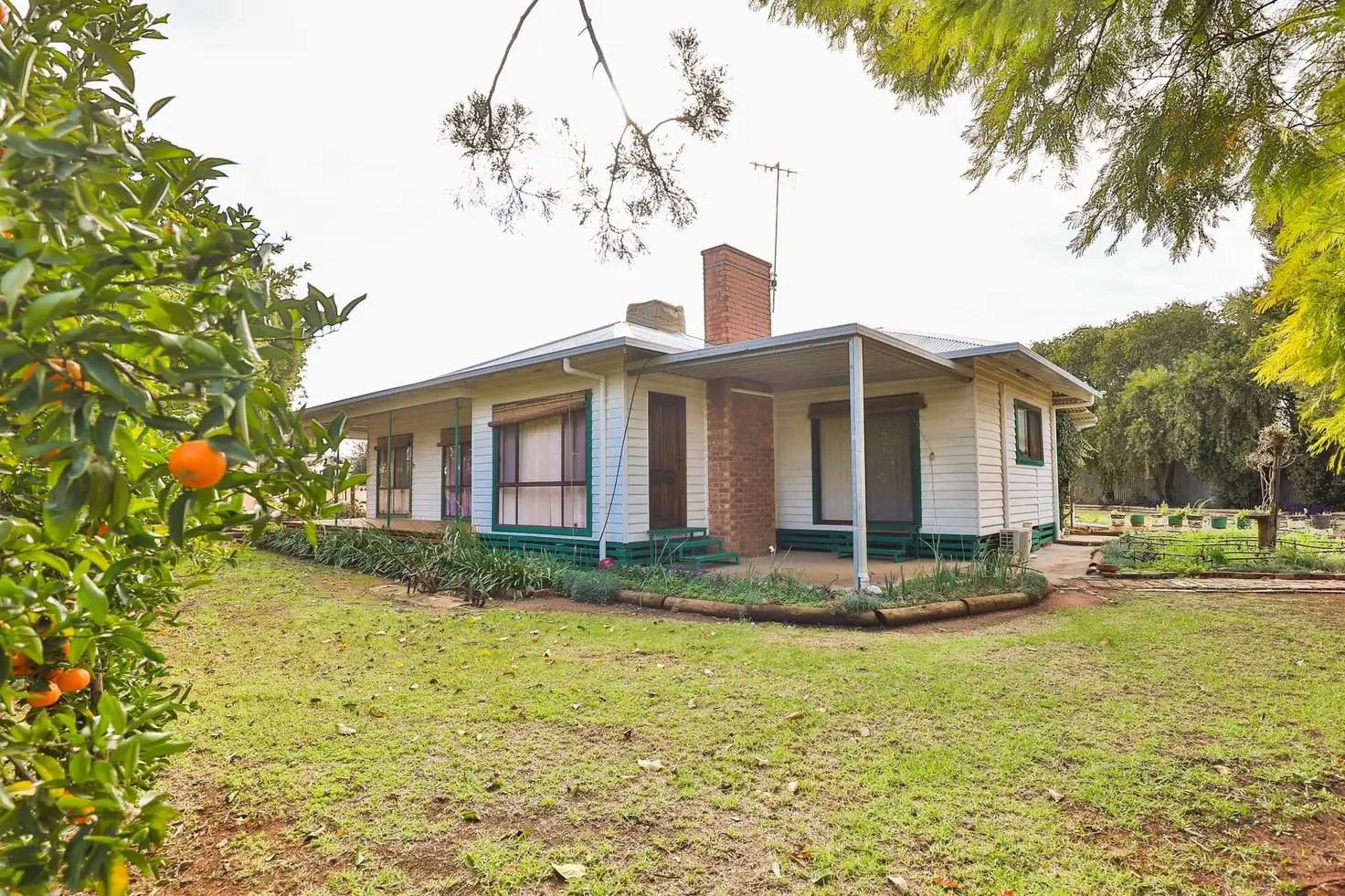 Main view of Homely house listing, 359 Shaggy Ridge Road, Robinvale VIC 3549