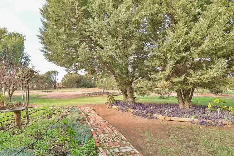 Second view of Homely house listing, 359 Shaggy Ridge Road, Robinvale VIC 3549