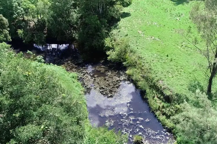 Fourth view of Homely rural property listing, 1112 Jiggi Road, Jiggi NSW 2480