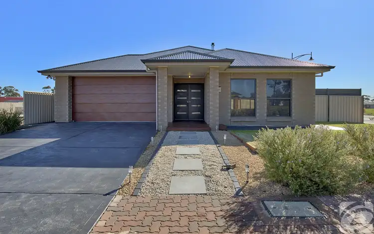 Main view of Homely house listing, 51 Pedler Boulevard, Freeling SA 5372