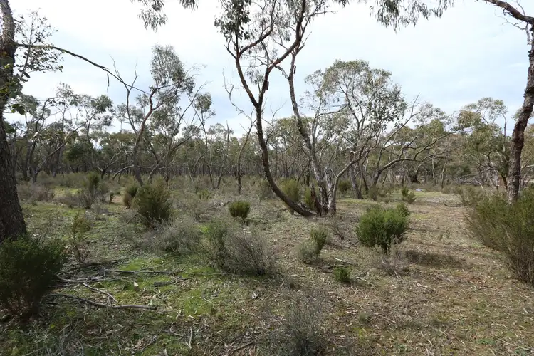 Sixth view of Homely land listing, 45 Sanderson Court, Bealiba VIC 3475