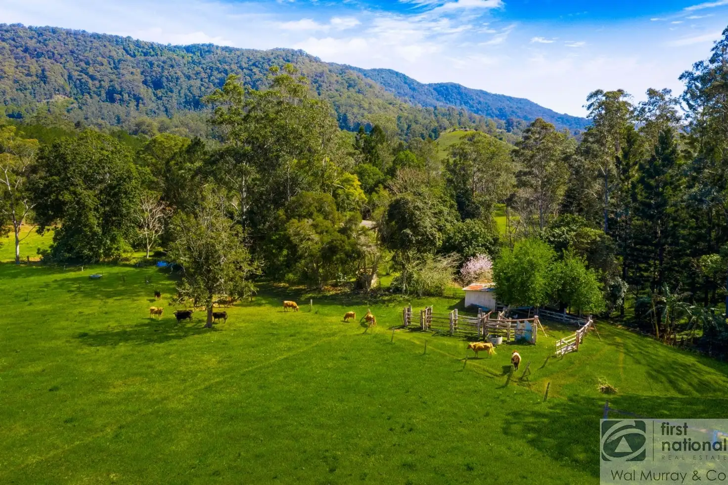 Main view of Homely rural property listing, 680 Cawongla Road, Larnook NSW 2480