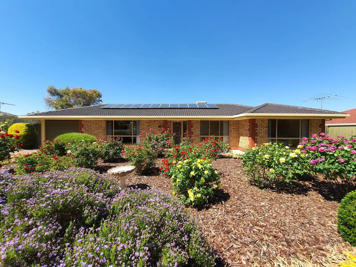 Main view of Homely house listing, 66 Hanson Street, Freeling SA 5372