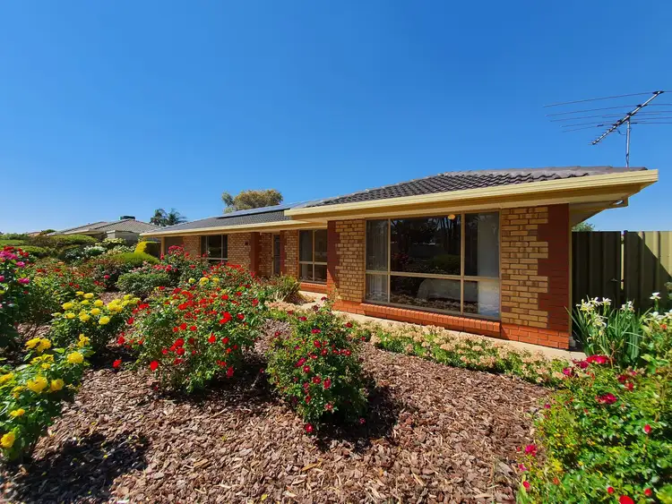 Third view of Homely house listing, 66 Hanson Street, Freeling SA 5372