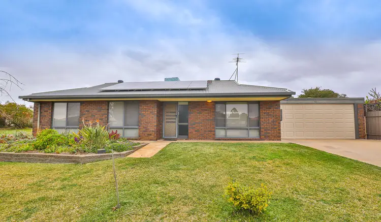 41 Crane Drive, Buronga NSW 2739