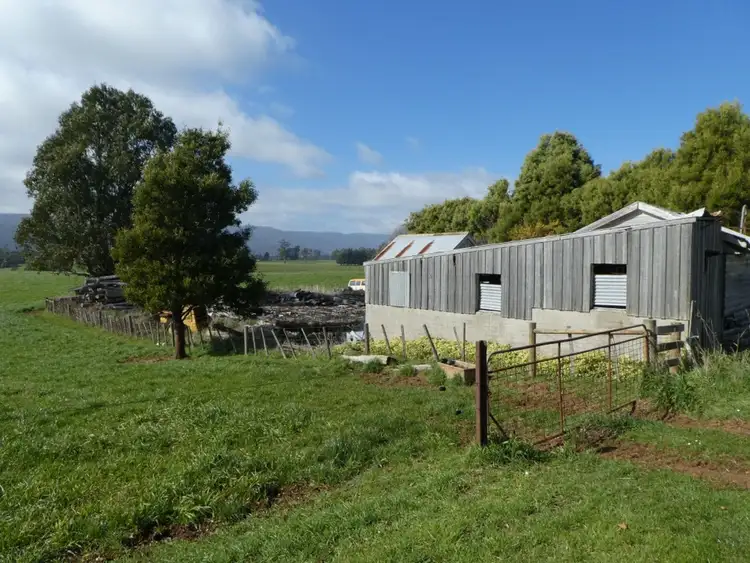 Third view of Homely land listing, 43 East Maurice Road, Ringarooma TAS 7263