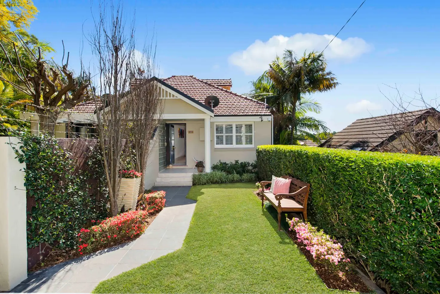 Main view of Homely semi-detached listing, 51 Pine Street, Cammeray NSW 2062