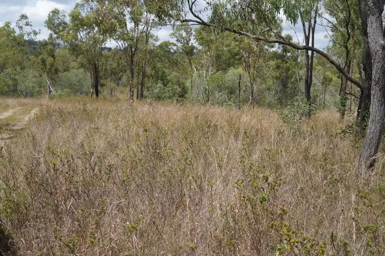 Third view of Homely rural property listing, Lot 0 Bruce Highway, Midgee QLD 4702