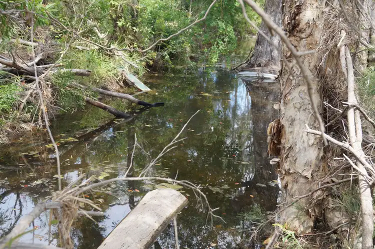 Fourth view of Homely rural property listing, Lot 0 Bruce Highway, Midgee QLD 4702