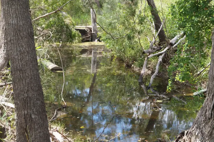 Fifth view of Homely rural property listing, Lot 0 Bruce Highway, Midgee QLD 4702