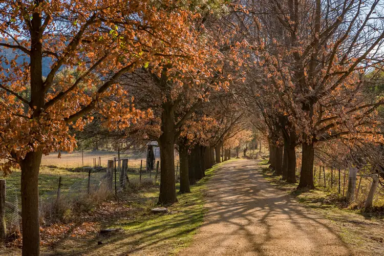 Fourth view of Homely rural property listing, 151 Williamsdale Road, Burra NSW 2620