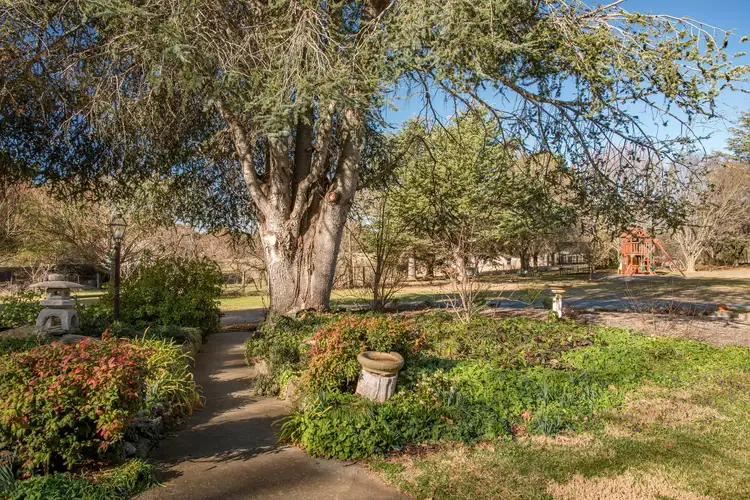 Sixth view of Homely rural property listing, 151 Williamsdale Road, Burra NSW 2620