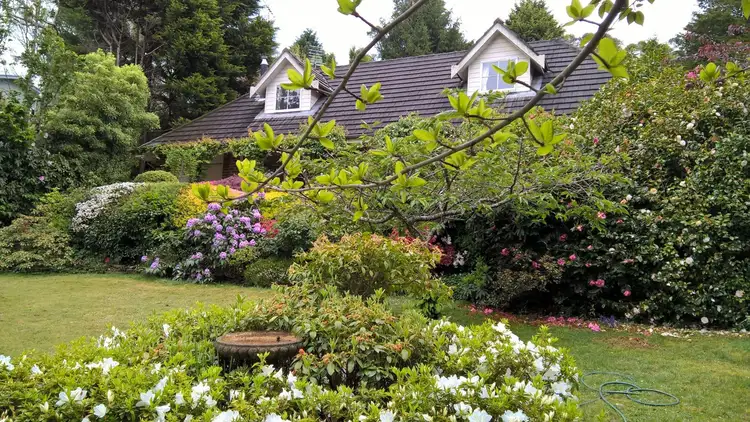 19 Glencoe Rd, Katoomba NSW 2780