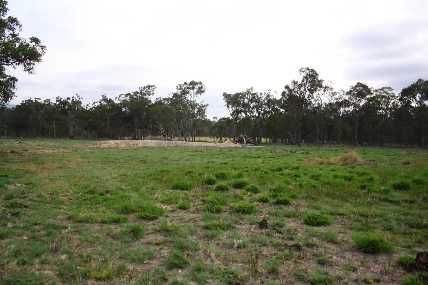 Main view of Homely land listing, Lot 541 Geyers Road, Tenterfield NSW 2372