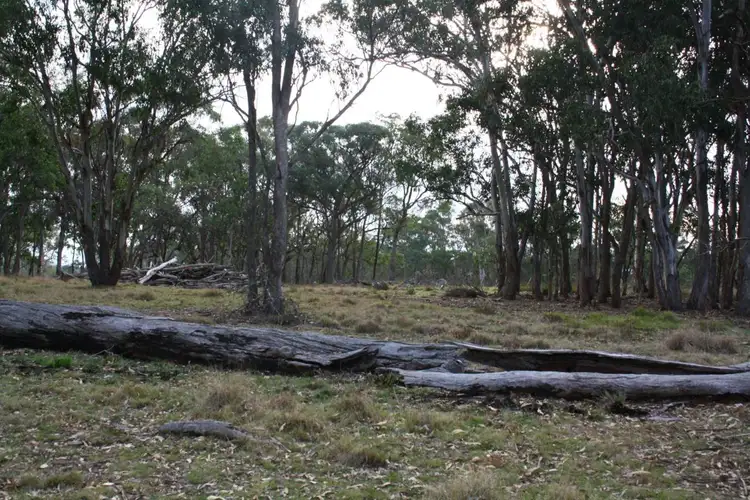 Third view of Homely land listing, Lot 541 Geyers Road, Tenterfield NSW 2372