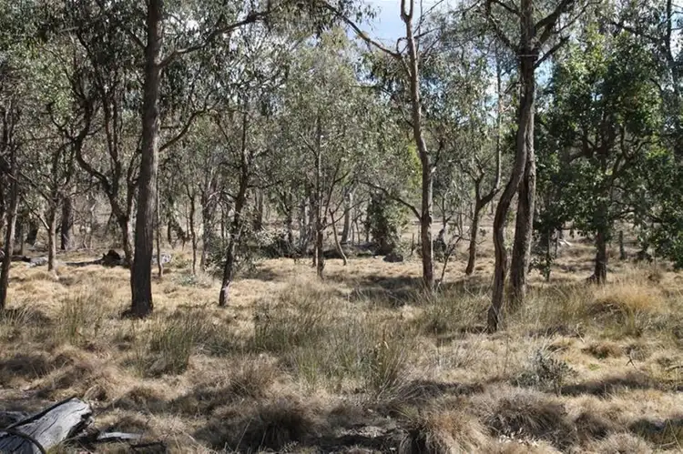 Second view of Homely land listing, 7/24 Merinda Street, Wallangarra QLD 4383