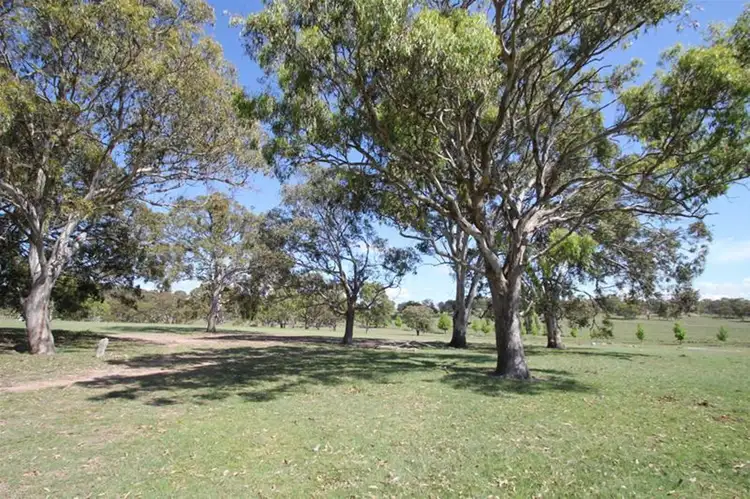 Fifth view of Homely rural property listing, 80 Sunnyside Loop Road, Tenterfield NSW 2372