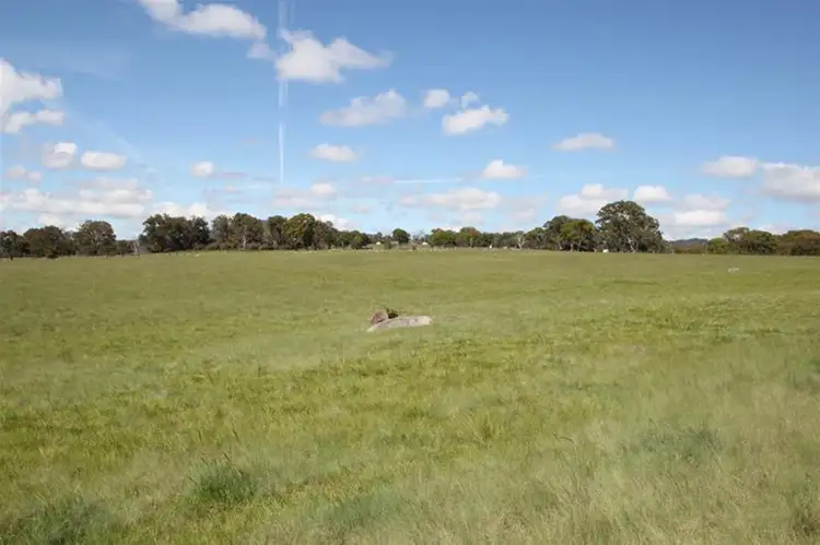 Seventh view of Homely rural property listing, 80 Sunnyside Loop Road, Tenterfield NSW 2372