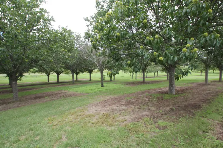 Second view of Homely land listing, Lots 1 & 4 Logan Street, Tenterfield NSW 2372