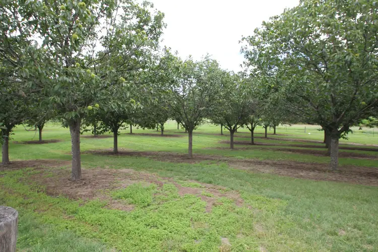 Third view of Homely land listing, Lots 1 & 4 Logan Street, Tenterfield NSW 2372