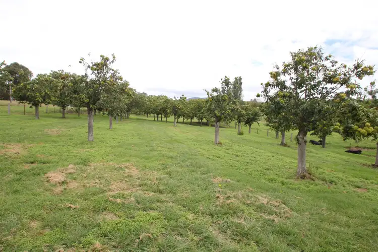 Sixth view of Homely land listing, Lots 1 & 4 Logan Street, Tenterfield NSW 2372