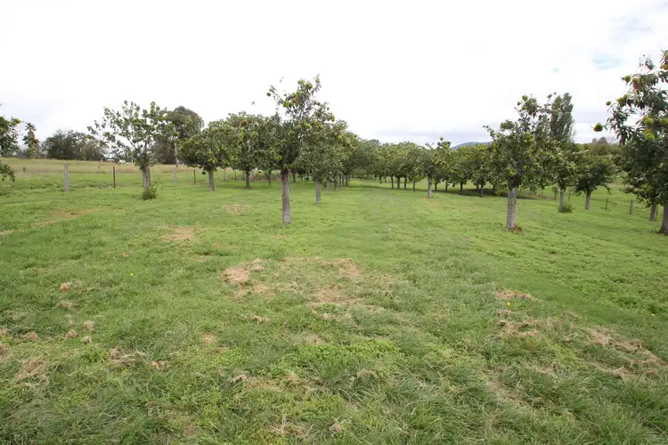 Seventh view of Homely land listing, Lots 1 & 4 Logan Street, Tenterfield NSW 2372