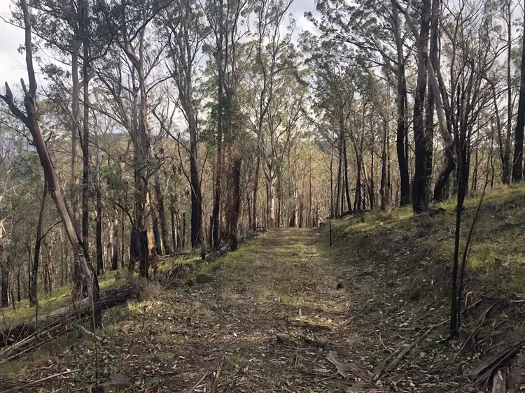 Main view of Homely rural property listing, 63 Bonner Road, Liston NSW 2372