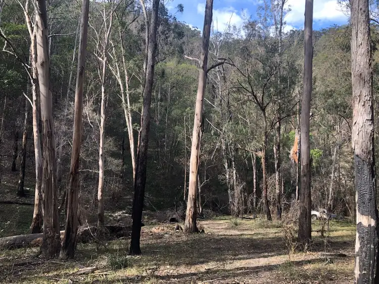 Third view of Homely rural property listing, 63 Bonner Road, Liston NSW 2372