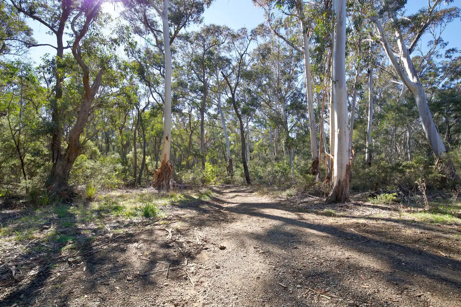 Main view of Homely land listing, 116-126 Railway Parade, Medlow Bath NSW 2780